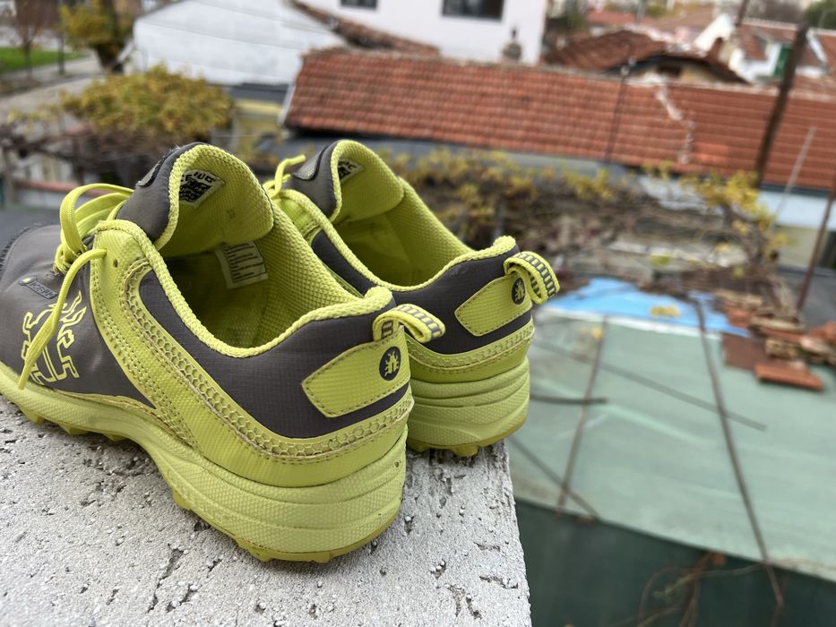 Ace Bug Waterproof 44