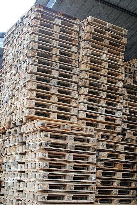 Принимаем Палеты, Поддоны 1200  тг