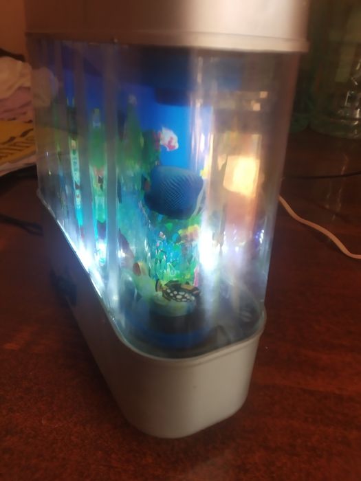 Tungi chiroq akvarium