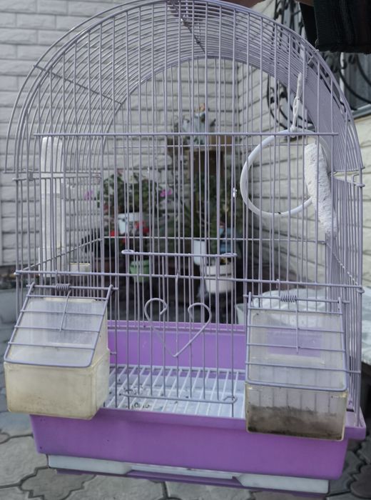 Клетка для птичек