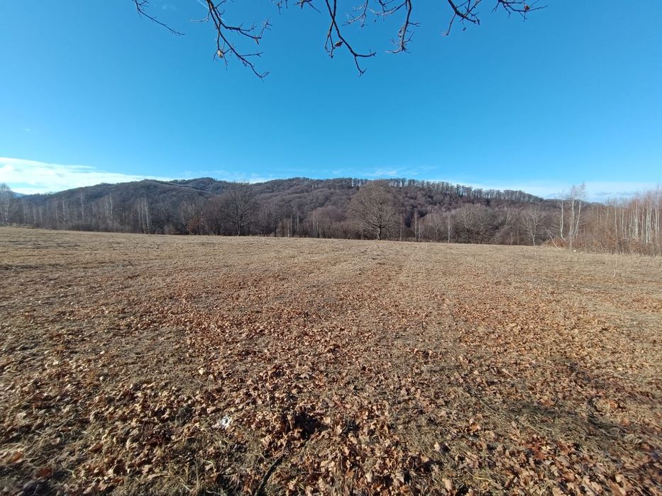 Teren de vânzare, Șinca Nouă jud Brașov,15000 mp. 2 euro,Teren situat la ieșire din Șinca Nouă,la 10 minute de manastire