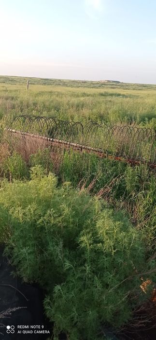 Продам трактор.    .