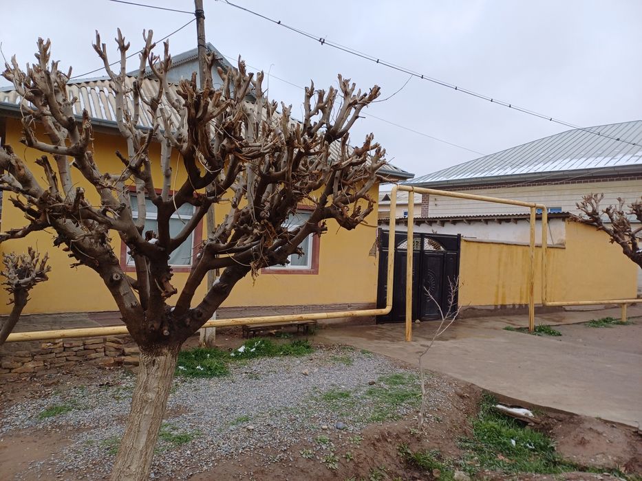 Уй сотилади Ангор АЛИШЕР НАВОЙИ КУЧАСИ 25 УЙ