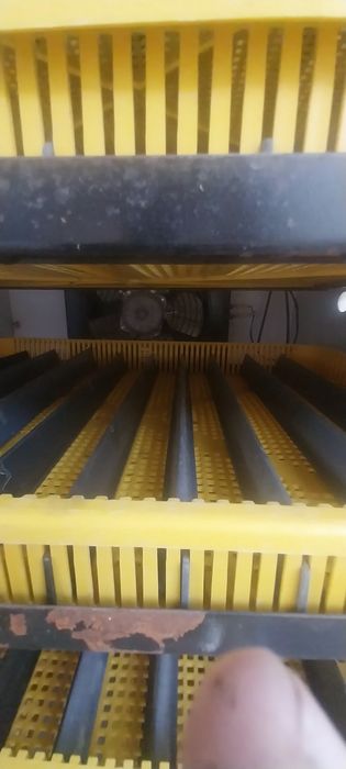Inkubator. 500 talik