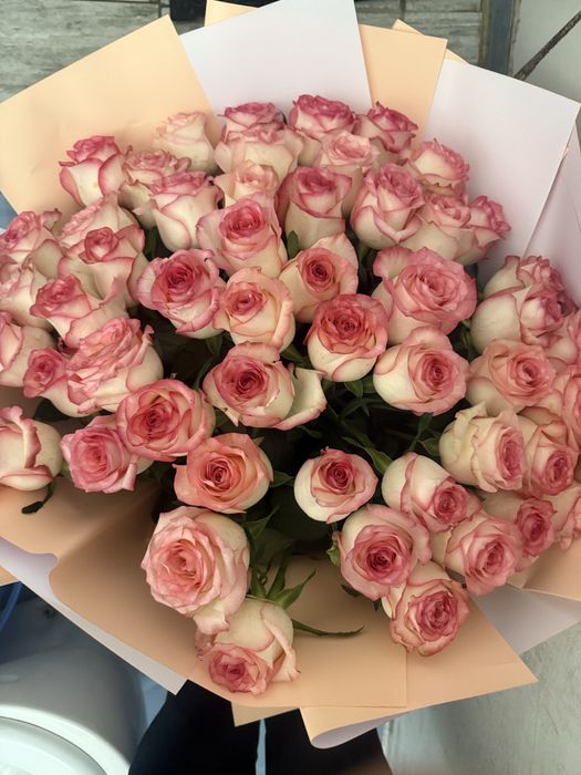 Букет гүл 51 роза 25 000