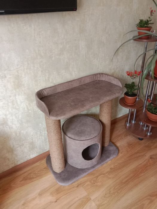 Когтеточки  для кошки