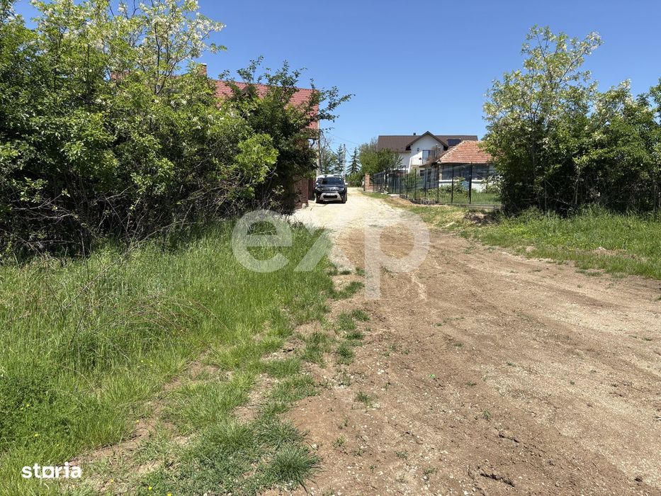 Intravilan 3015 mp Mosoaia | 48 ml deschidere | Langa padure