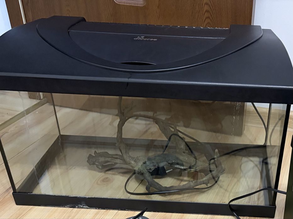 Acvariu diversa 54 l