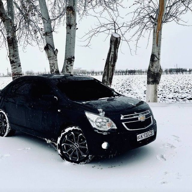 Kobilt r17              .