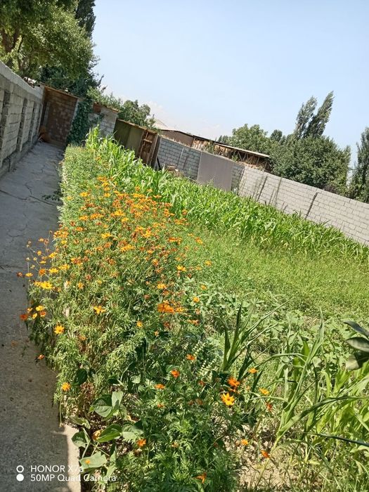 Янги хаёт тумани Жалоир Мфй 5сотих 3 хона