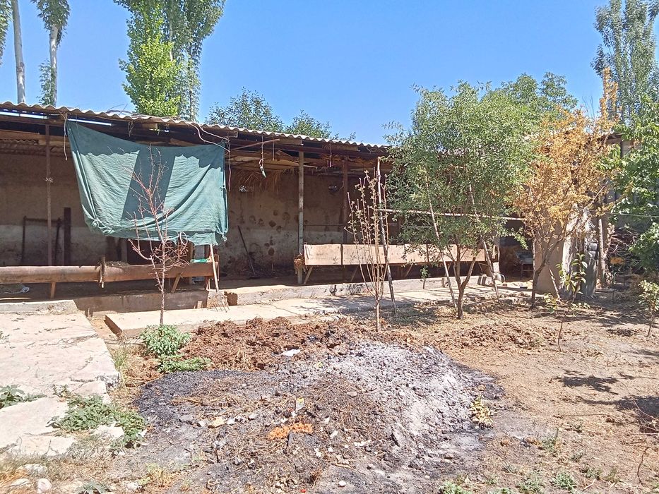 Yuqori chirchiq o'zbekiston mahallasida Tayyor Hovli sotiladi 105 000
