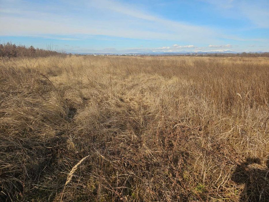 Teren de vânzare în Ulmi, Dâmbovița / ideal pentru investiție/10e-mp