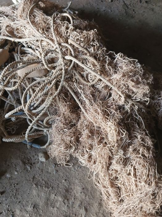 Балик тор бор куп