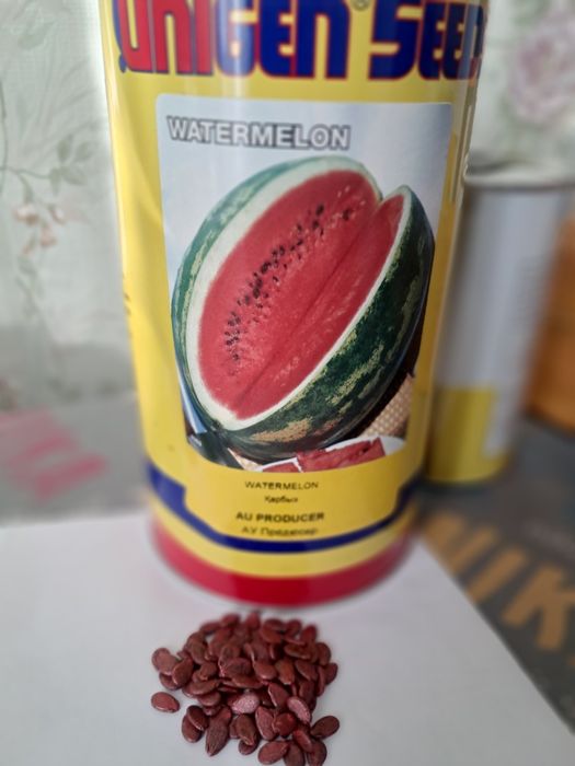 Продам семена огурцов кукуруза арбуз  Голландия