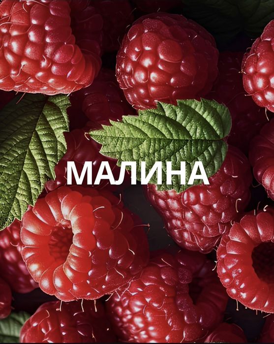 Малина доставка бесплатно