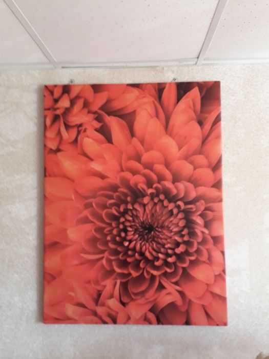 Продам картины 2шт.новые.