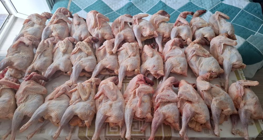 Фазан - Кыргауыл