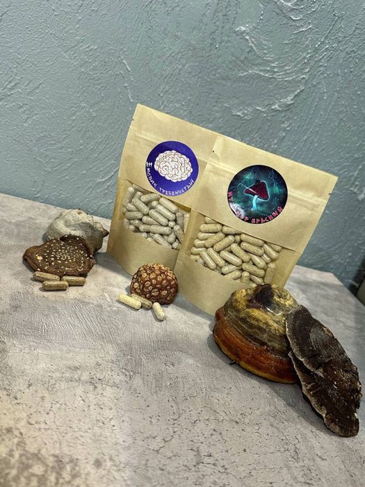 Ежовик гребенчатый