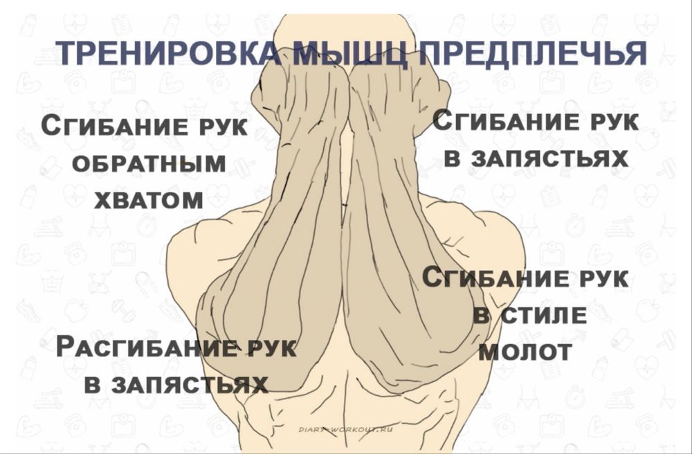 Грип-машина для тренажер рук
