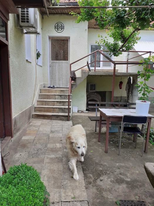 Продава се Къща в Монтана, Мала Кутловица - 125 кв.м за 1082 €/кв.м - Снимка #5