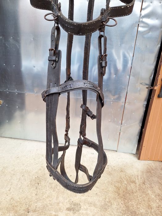 Vand caruta si ham cai