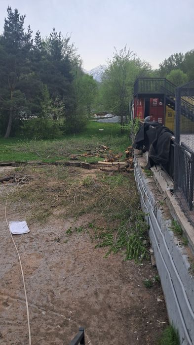 Дрова срочно самовывоз