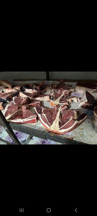 Продам мясо конины