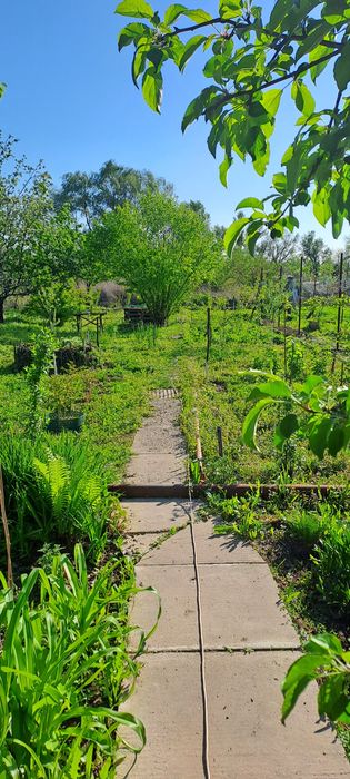 Продам дачу 7.5 соток общество " Кристалл"