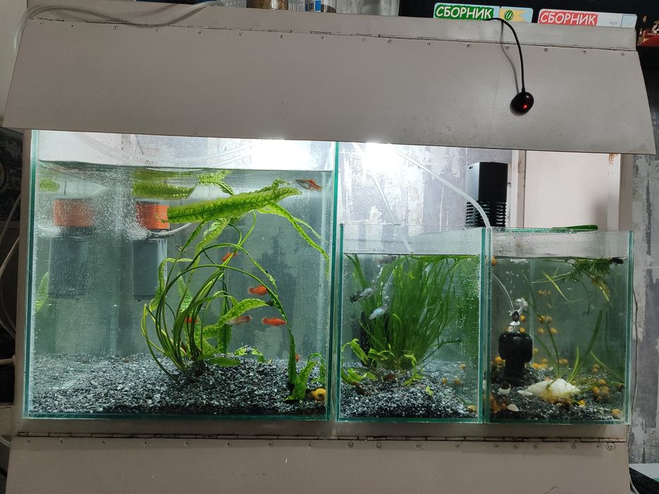 Аквариумы  разные