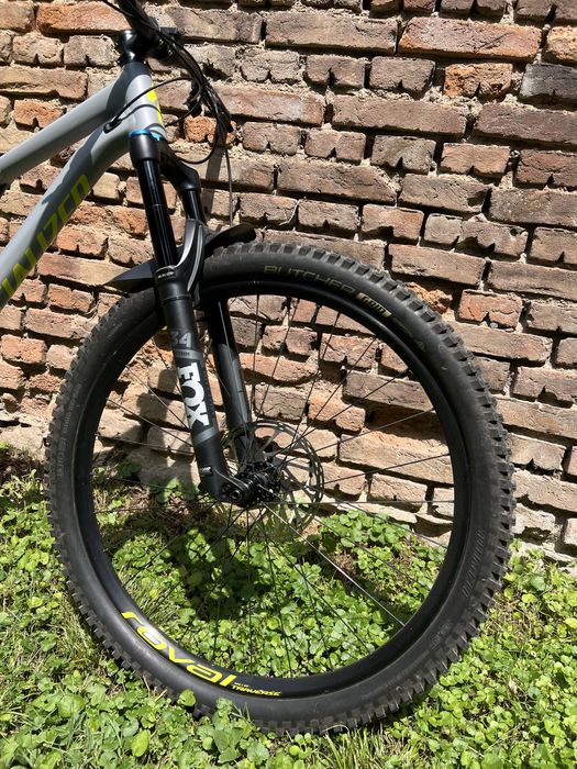 Specialized Stumpjper Comp Alloy 29