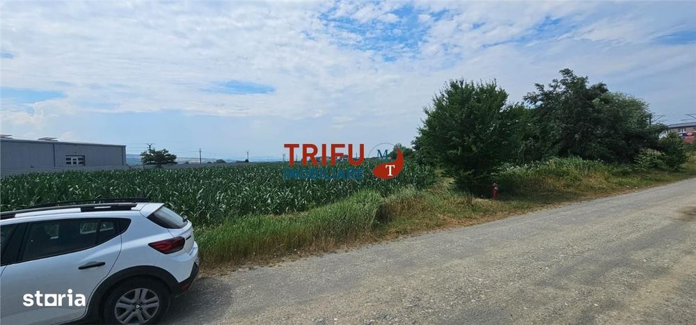 Teren Intravilan Soseaua De Centura !3500mp