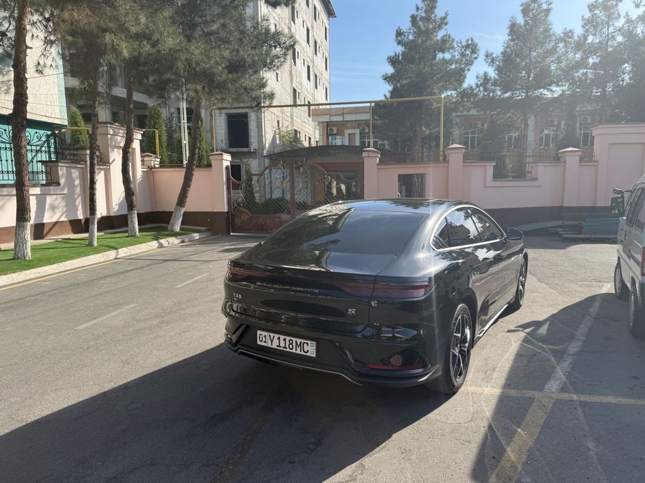 Taxi /Turist VIP Taxi  Byd Han