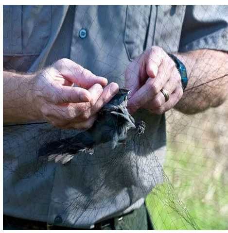 Plasa verticala anti pasari 3m x 6m