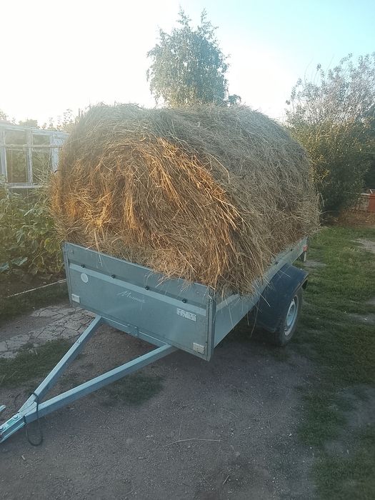 Сено  в  рулонах