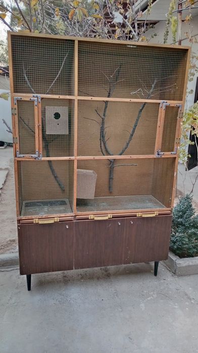 Катта капас Кушлар блан