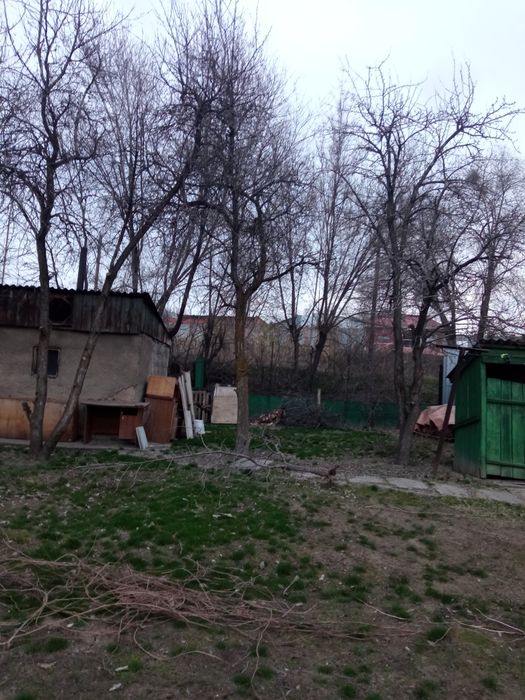 Отдам даром  дрова