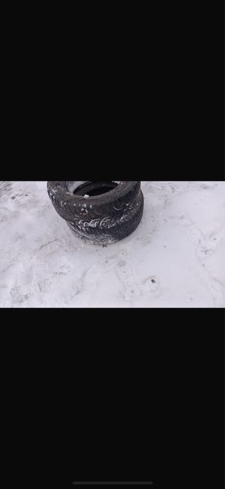 Зимняя покрышка