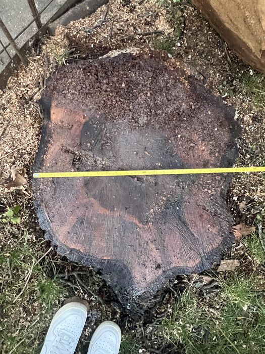 Vand nuc de 60 de ani