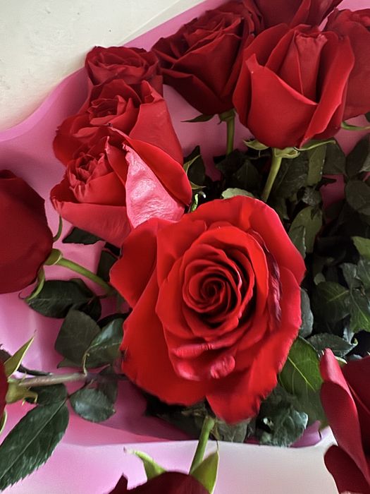 Цветы галанские розы