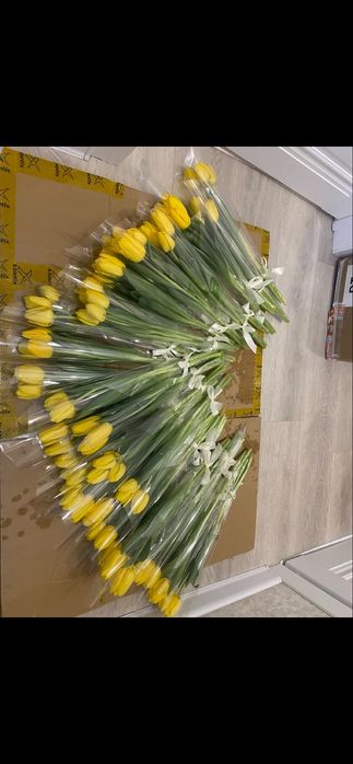 Белорусские тюльпаны Астана