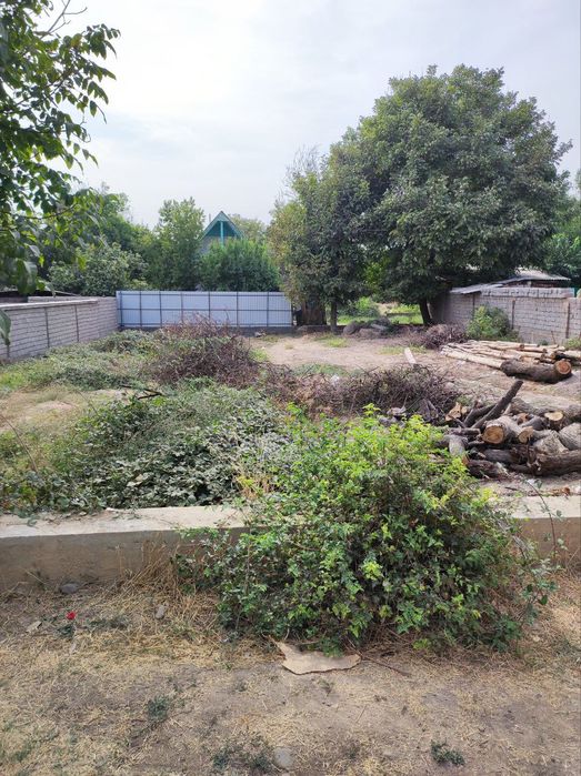 Yer sotiladi 6 soʻtik