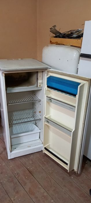 Модел сортов сотилади