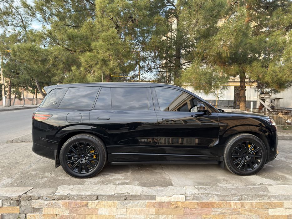 Denza N9 Full dopopsiys