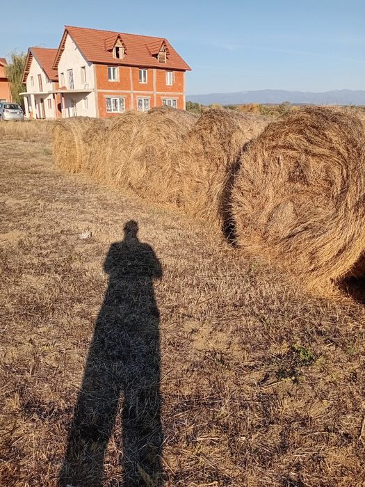 Vând baloți de fân