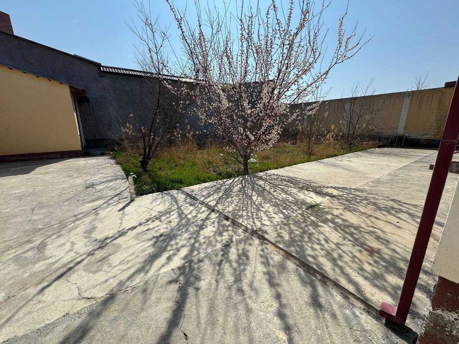 №3840.Коттедж яхши Ойлага ижорага бераман.