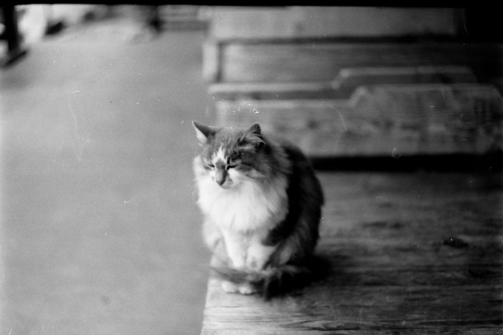 Проявяване и сканиране на 35мм,120мм черно-бели снимки