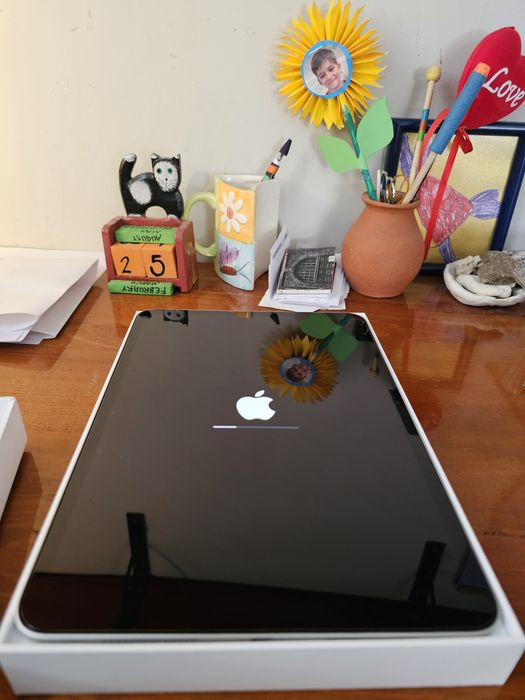 iPad Pro 11' M4 512GB WiFi Silver - в гаранция