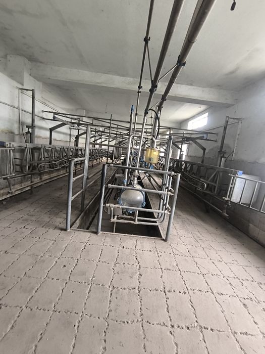 Sut sogʻadgan aparat holat zoʻr