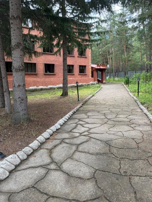 Щучинск. Золотой бор