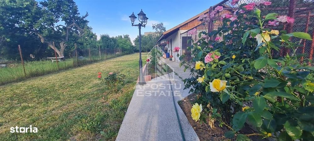 Casa individuala de vanzare cu teren de 2000 mp, Fratelia, Timisoara